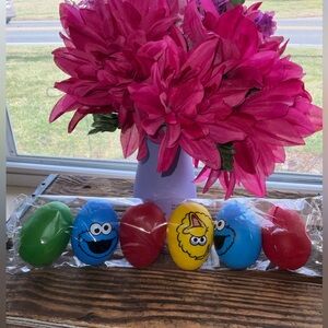 Sesame Street Colorful Character Eggs New In Package